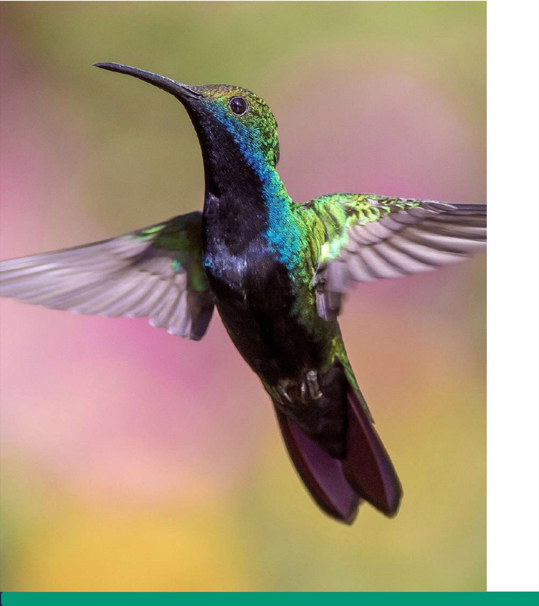 Aviario Nacional