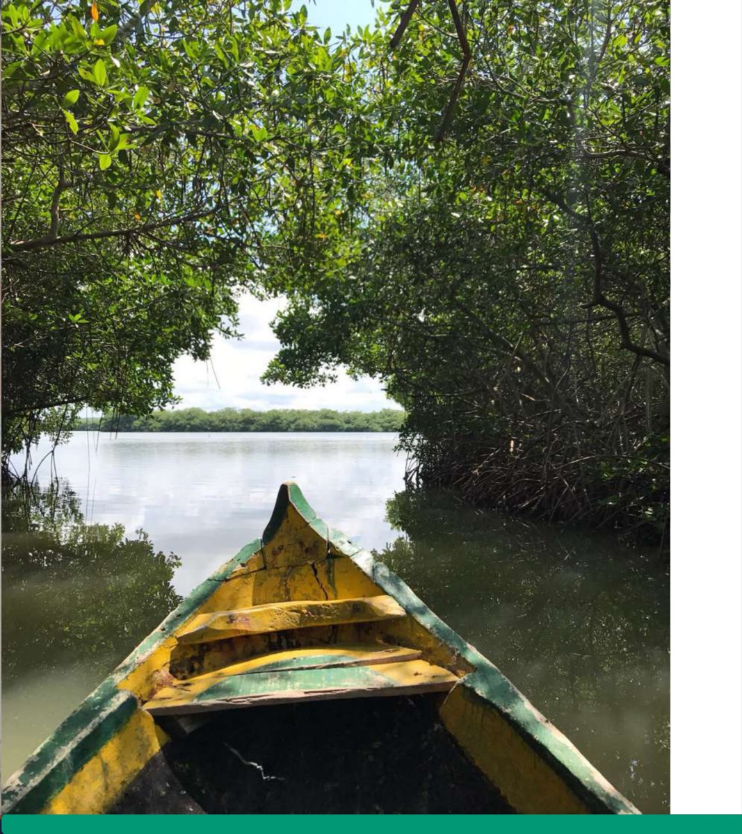 Manglares de La Boquilla