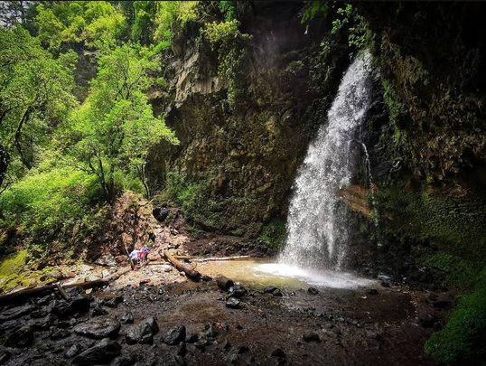 Bioexploración de montaña