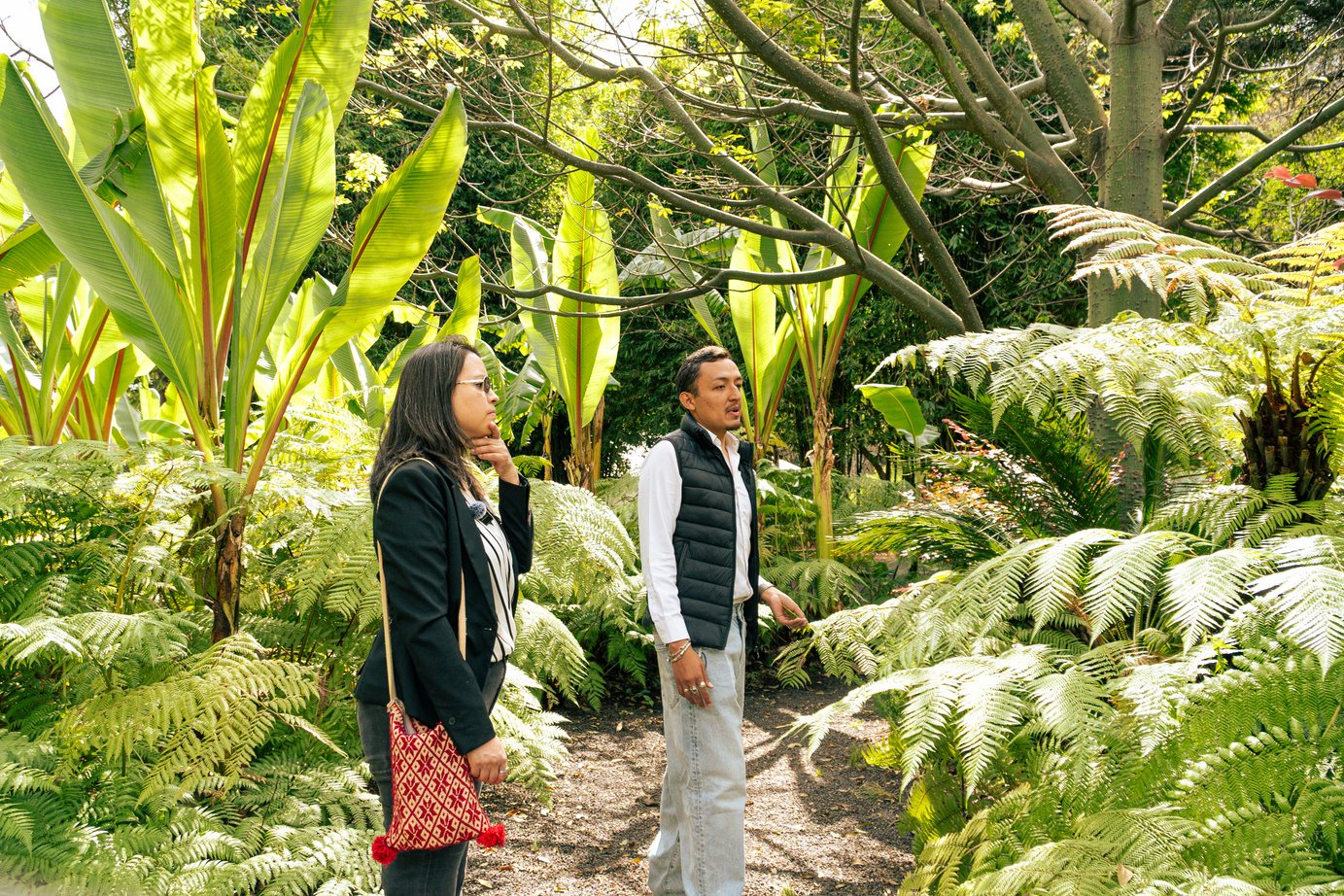 Botánica viva: paseo por los jardines de Chapultepec